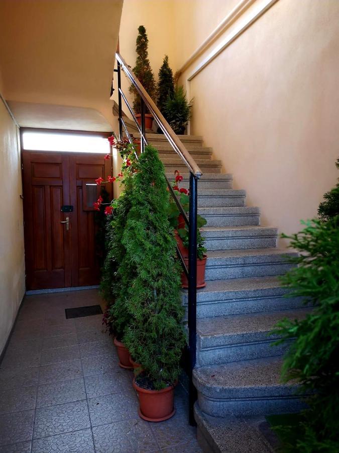 Villa Casa Ioana Brassó Kültér fotó