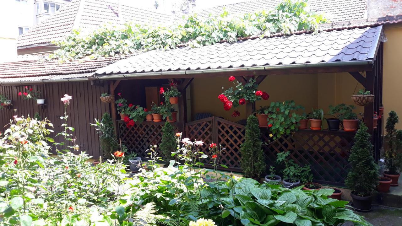 Villa Casa Ioana Brassó Kültér fotó