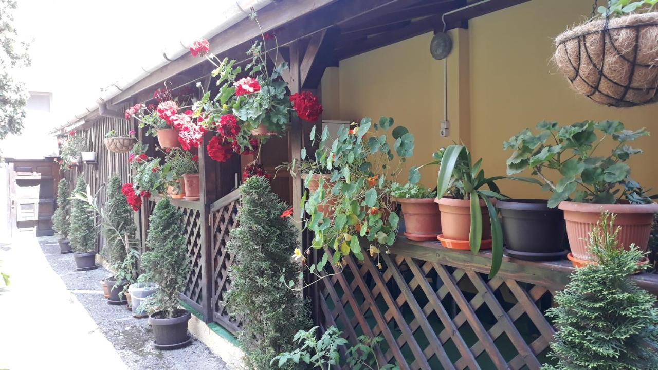 Villa Casa Ioana Brassó Kültér fotó