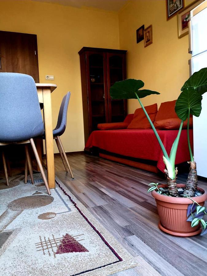 Villa Casa Ioana Brassó Szoba fotó