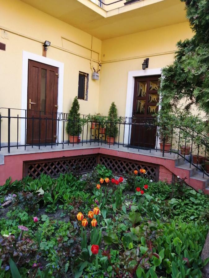 Villa Casa Ioana Brassó Kültér fotó